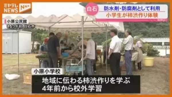 「みんなに使ってほしい」小学生が伝統の柿渋作りを体験＜宮城・白石＞