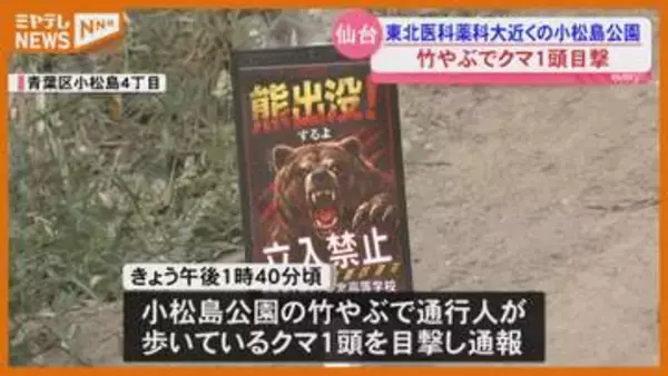 【クマ目撃】市中心部の広瀬川・河川敷では親子とみられる2頭…午後には青葉区『小松島公園』で1頭(仙台市)