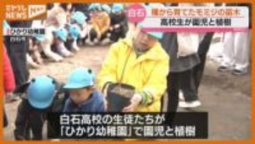 高校生が種から育てたモミジの苗木、幼稚園で園児と植樹(宮城・白石市）