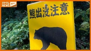 富谷市で子グマ1頭を目撃　人的被害なし