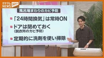 【梅雨を快適に過ごしたい】カビ対策、部屋干しのコツ
