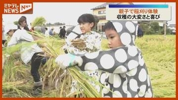 「たくさん刈れて良かった」親子30人が昔ながらの稲刈りを体験＜宮城・大崎＞
