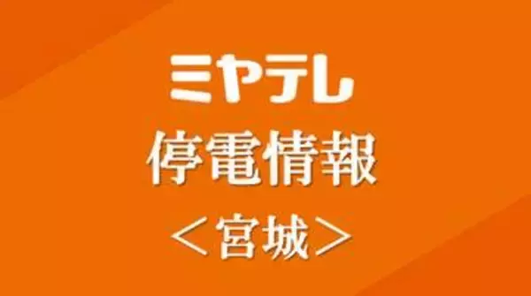 角田市で約880軒が停電・原因調査中＜宮城・角田市＞