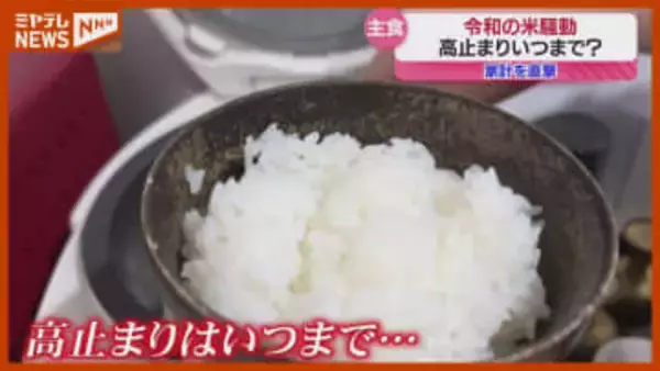 ＜2025年振り返り＞依然として“高値”…私たちの主食『コメ』
