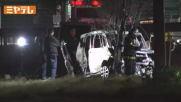 街路樹に乗用車が衝突し出火…40代の女性と8歳の小学生の男の子が軽傷 宮城・仙台市