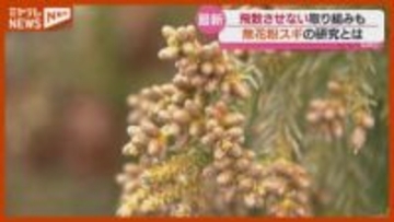 2026年は“大量飛散”か…国民の4割が『花粉症』、宮城県が進める“対策”も取材