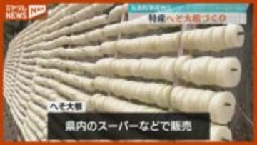 干す時にできる穴が『へそ』のよう…特産の『へそ大根』づくり（宮城・丸森町 筆甫地区）