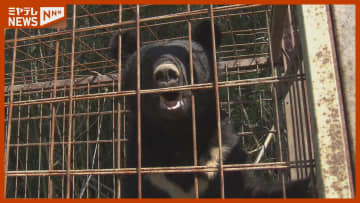 12月にも死者『クマ』被害相次ぐ、ハンター語る“課題”…襲われた人“初証言”（2025年振り返り・宮城）