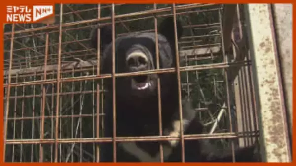 12月にも死者『クマ』被害相次ぐ、ハンター語る“課題”…襲われた人“初証言”（2025年振り返り・宮城）