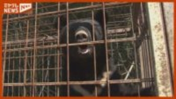 12月にも死者『クマ』被害相次ぐ、ハンター語る“課題”…襲われた人“初証言”（2025年振り返り・宮城）