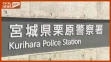 伐採した木の下敷きに…チェーンソー使い伐採作業中の70代男性が重体（宮城・栗原市）