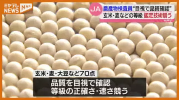 “目視”で玄米や麦の等級鑑定…農協の農産物検査員が技術競う（宮城）