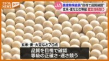 “目視”で玄米や麦の等級鑑定…農協の農産物検査員が技術競う（宮城）