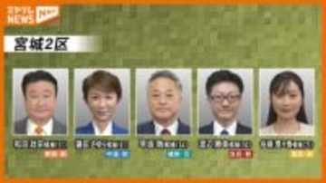 【立候補者一覧】衆院選・宮城2区 プロフィール紹介（仙台市宮城野区・若林区・泉区）