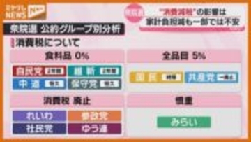 【衆院選】争点は『物価高対策』『消費税』各党が掲げるポイントは？