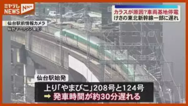【原因はカラス？】『東北新幹線』車両基地で停電…一部・新幹線に遅れ（宮城・利府町）