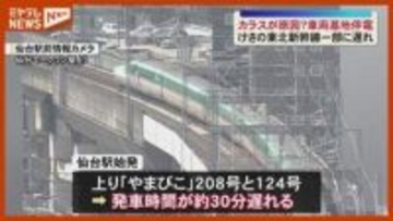 【原因はカラス？】『東北新幹線』車両基地で停電…一部・新幹線に遅れ（宮城・利府町）