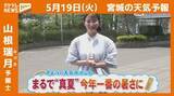 「“まるで真夏…ことしいちばんの暑さに”19日(火)宮城の天気」の画像1