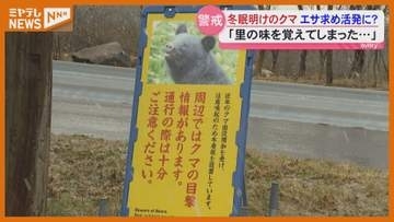 【クマ】3月に19件の目撃情報、専門家は『冬眠明けのクマ』に注意呼びかけ・宮城