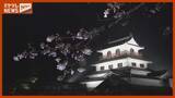 「サクラの名所・白石城で夜桜ライトアップ＜宮城・白石市＞」の画像1