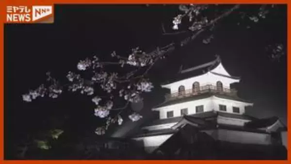 サクラの名所・白石城で夜桜ライトアップ＜宮城・白石市＞