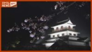サクラの名所・白石城で夜桜ライトアップ＜宮城・白石市＞