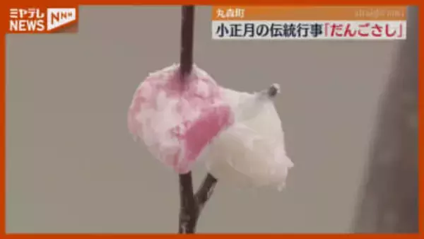 「豊作願って心込めて飾る」伝統行事『だんごさし』（宮城・丸森町）