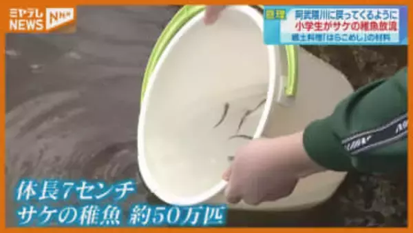 「放流を見て 命を食べているんだと思った 」小学生がサケの稚魚 阿武隈川に放流（宮城・亘理町）