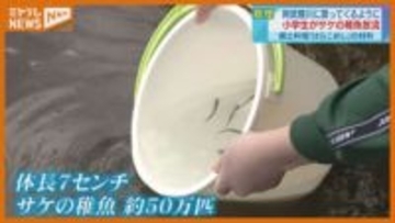 「放流を見て 命を食べているんだと思った 」小学生がサケの稚魚 阿武隈川に放流（宮城・亘理町）