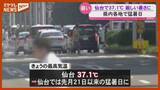 「「サウナに行っているような感じ」仙台で今年最高の37.1℃  各地で猛暑日＜宮城＞」の画像1