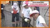 「タイやフグ 小学生が地引き網漁を体験＜宮城・南三陸町＞」の画像1