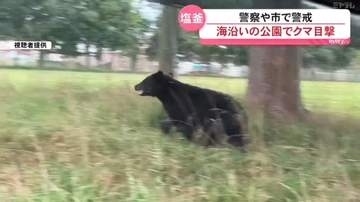 海に近い公園でクマ目撃、映像も（宮城県塩釜市）