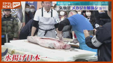 “水揚げ日本一” メカジキ解体ショー＜宮城・気仙沼＞