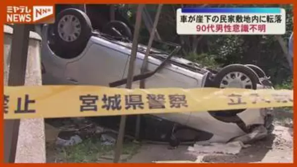 カーポートの屋根 突き破る…5メートルほど崖下に車 転落、90代男性が意識不明（仙台市太白区）