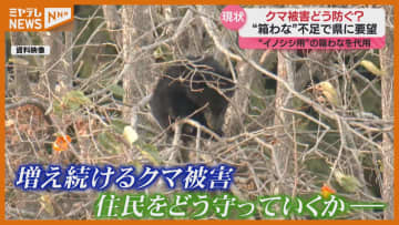 北海道・東北地方知事会がクマ対策を国に緊急要望 「箱わな」不足…自治体の現状は？ 宮城