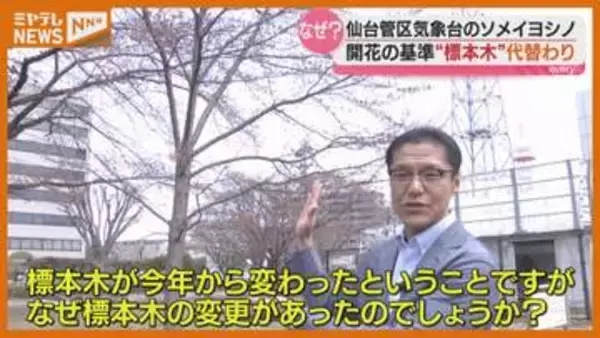 【なぜ？】仙台の『ソメイヨシノ』標本木、2026年から変更に＜ミヤギテレビ・小杉予報士が解説＞