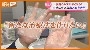 【皮膚の傷を治す仕組み】医療現場で私たちの生活に身近な〝あるもの〟活用…東北大学の最新研究