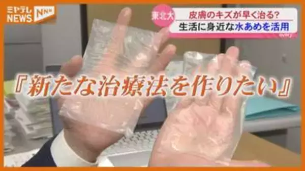 【皮膚の傷を治す仕組み】医療現場で私たちの生活に身近な〝あるもの〟活用…東北大学の最新研究