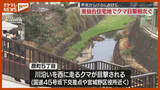「「区役所近い町中でクマ出没は恐怖」住宅地で“川沿い走るクマ”、警戒中（仙台市宮城野区）」の画像1