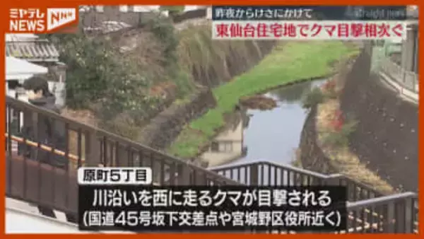 「区役所近い町中でクマ出没は恐怖」住宅地で“川沿い走るクマ”、警戒中（仙台市宮城野区）