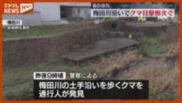 仙台市内でクマの目撃相次ぐ　梅田川沿いに移動か　〈宮城野区原町・青葉区上杉、あけぼの町〉