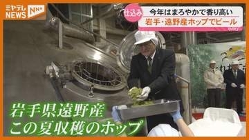 「ワインと同じような楽しみ方を」遠野産ホップのビール仕込み始まる＜宮城・仙台＞