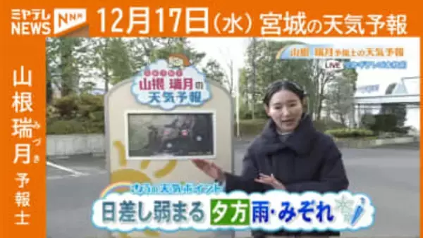 “日差し弱まる 夕方は雨やみぞれ” 17日(水)宮城の天気