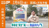 「『季節を“戻す”風　気温ガクッ↓』 6日(金)宮城の天気」の画像1