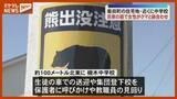 「【クマと鉢合わせ】住宅の庭で住人が…けがはなし、近くの中学校では生徒の車での送迎 呼び掛け（宮城・柴田町）」の画像1