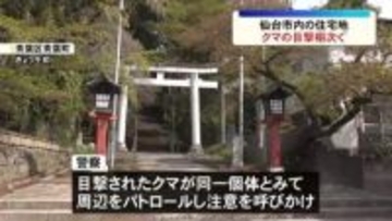 17日夜から18日朝にかけて住宅地でクマの目撃相次ぐ　警察は同一個体とみて注意を呼びかけ＜仙台市＞