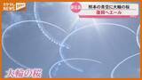 「『サクラ』のエール 熊本の空にも…『あの日』70人が避難した丘のサクラ（宮城・東松島市）」の画像1