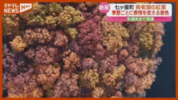 「青空が山と合っている」不忘山のふもとに広がる長老湖、湖を囲む木々が色づき見頃（宮城・七ヶ宿町）