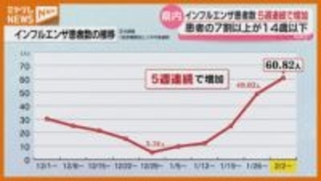【インフル患者数】5週連続で増加↑、「気仙沼」では感染性胃腸炎も“警戒レベル”（2月8日までの1週間・宮城県）