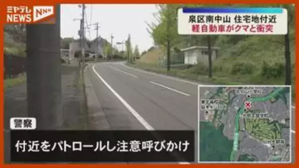 体長 約1.5メートル…路上に飛び出した『クマ』に軽自動車が衝突、仙台市泉区の住宅地付近